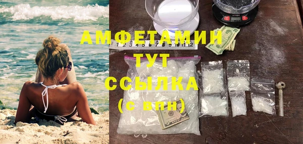 дмт Дмитровск