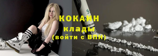 дмт Дмитровск