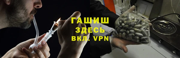 гашик Дмитриев