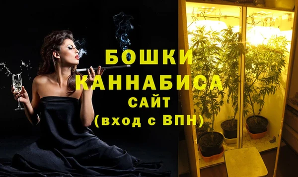 крисы Ладушкин
