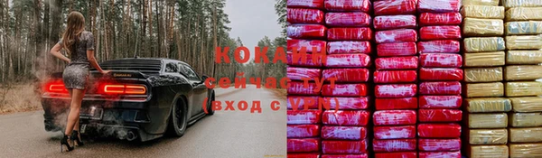 дмт Дмитровск