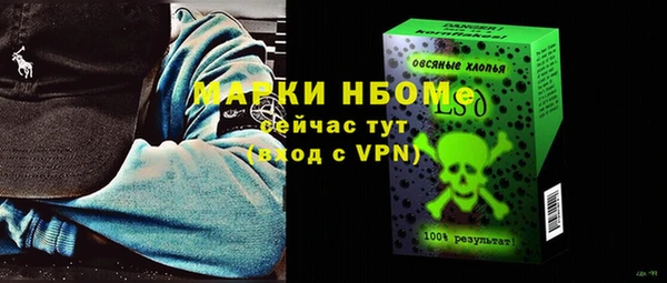 хмурый Елизово