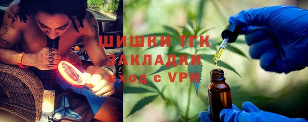ешки Ельня